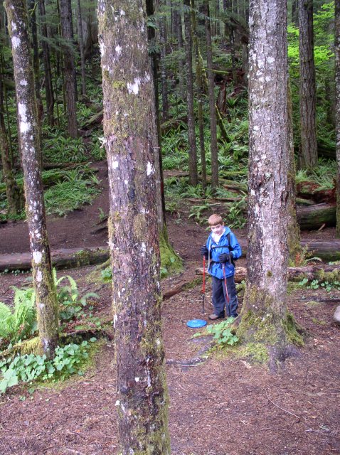 5.29.06 Siouxon Creek 010 